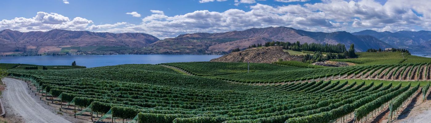 International Wine Press